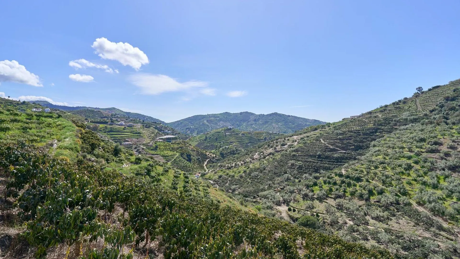 Villa Alejandro En Sayalonga 0*,  España